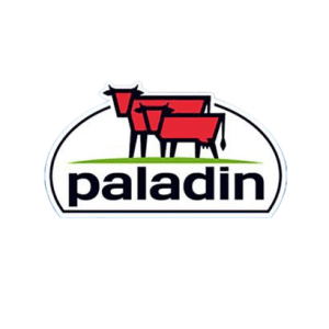 paladin