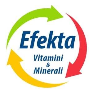 efekta
