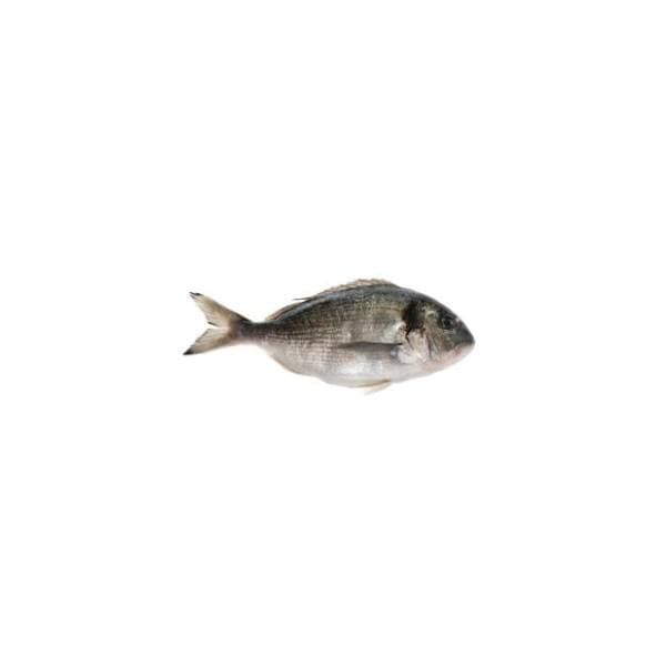 Orada 1kg 0