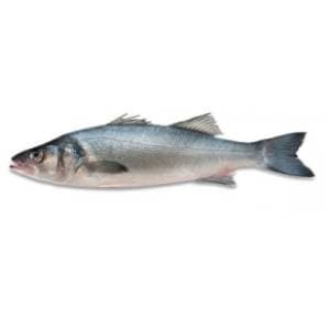 brancin-1kg