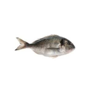 orada-1kg
