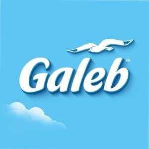 galeb