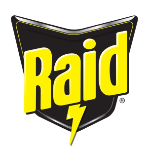 raid