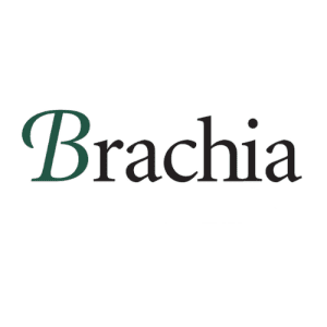 brachia