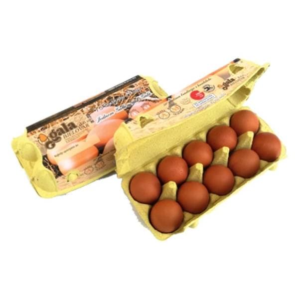 GALA svježa jaja razred A 10kom 0