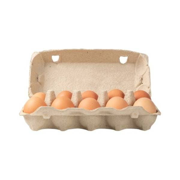 GALOV jaja razred L 10kom 0