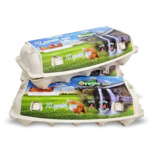 OREGON jaja M razred 10kom 0