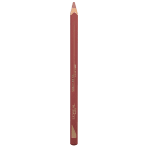 L'OREAL Color riche olovka za usne 107 seine sunset slide slika